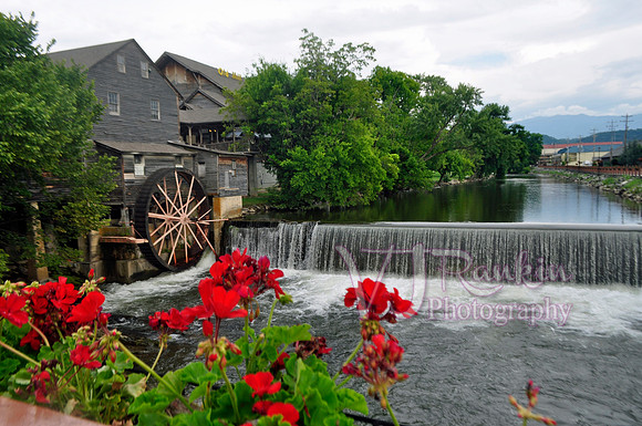 The Old Mill